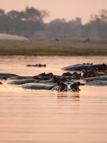 Кондиціонер Daiko